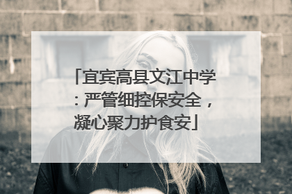 宜宾高县文江中学：严管细控保安全，凝心聚力护食安
